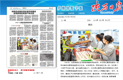 ag尊龙西北集团珑樾府项目高温慰问——《陕西日报》
